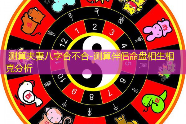  测算夫妻八字合不合-测算伴侣命盘相生相克分析