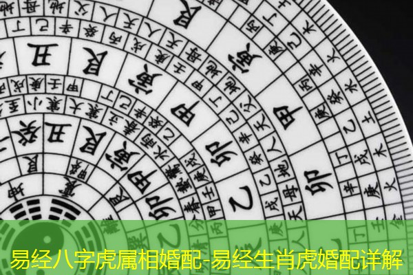  易经八字虎属相婚配-易经生肖虎婚配详解