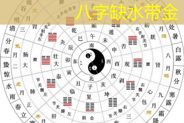  八字缺水带金