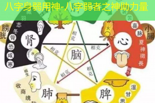  八字身弱用神-八字弱者之神助力量