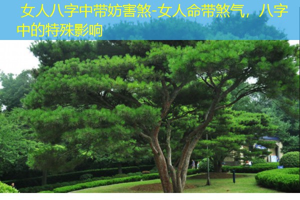  女人八字中带妨害煞-女人命带煞气，八字中的特殊影响