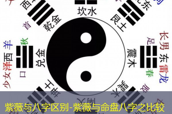  紫薇与八字区别-紫薇与命盘八字之比较