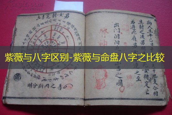  紫薇与八字区别-紫薇与命盘八字之比较