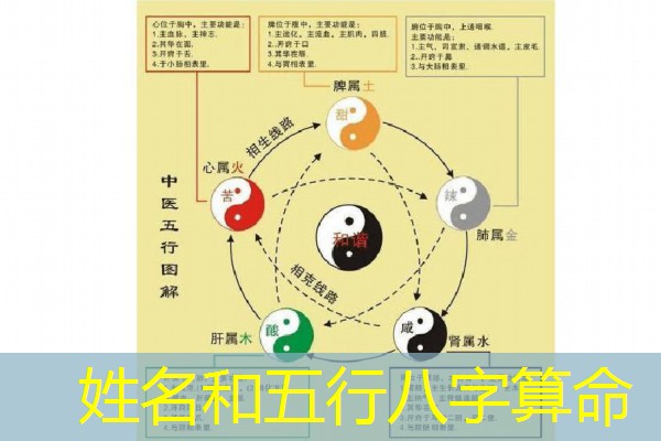  姓名和五行八字算命