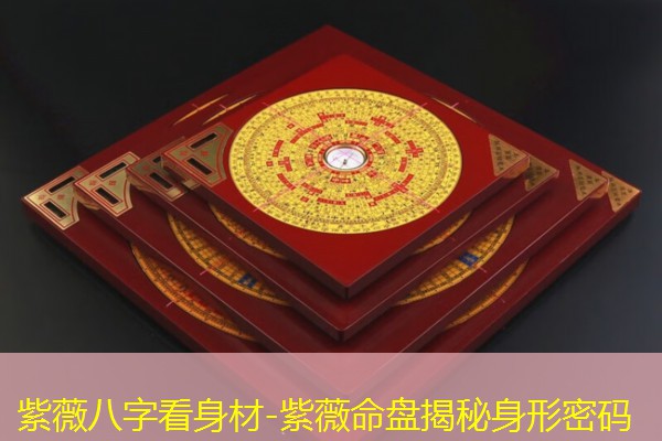  紫薇八字看身材-紫薇命盘揭秘身形密码