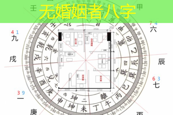  无婚姻者八字
