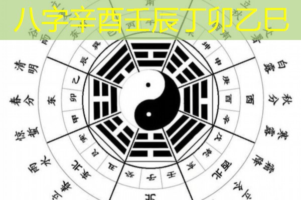  八字辛酉壬辰丁卯乙巳