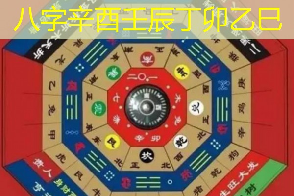  八字辛酉壬辰丁卯乙巳