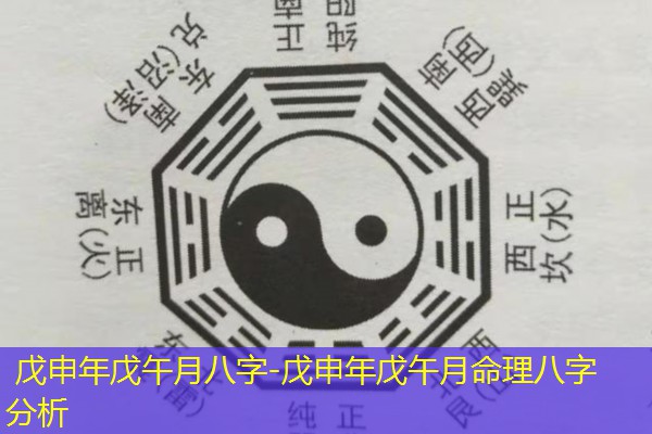  戊申年戊午月八字-戊申年戊午月命理八字分析