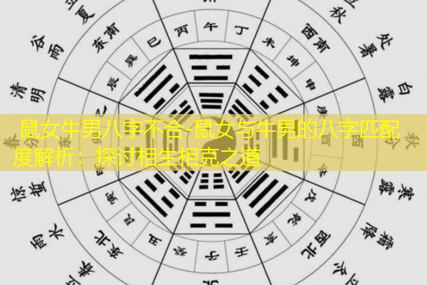  鼠女牛男八字不合-鼠女与牛男的八字匹配度解析：探讨相生相克之道