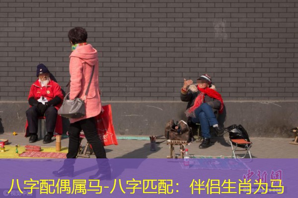  八字配偶属马-八字匹配：伴侣生肖为马