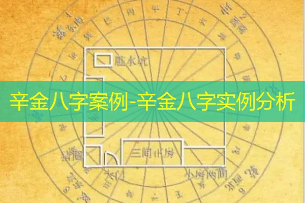  辛金八字案例-辛金八字实例分析