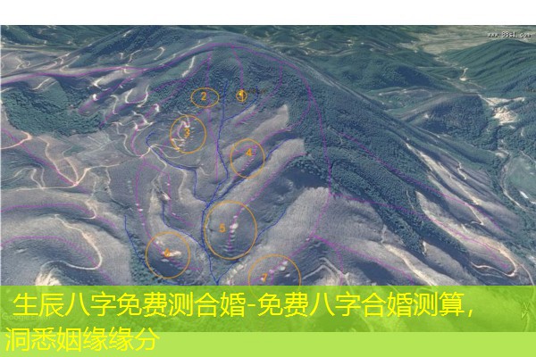  生辰八字免费测合婚-免费八字合婚测算，洞悉姻缘缘分